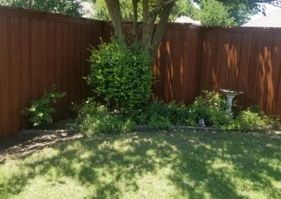 Best Stain For Cedar Fence