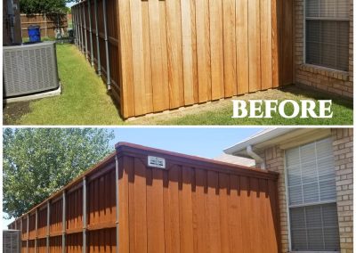 Board on Board Cedar Fence Staining