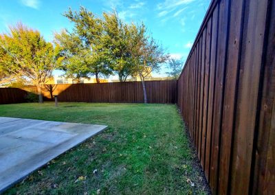 cedar fence dark stain