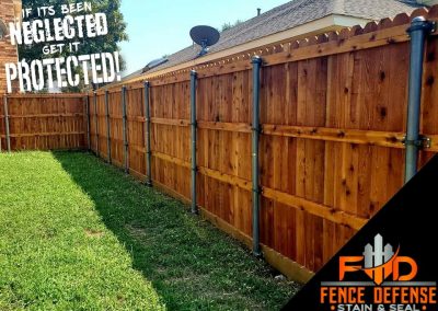 Fence Staining Experts in Carrollton