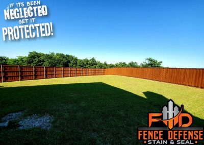 Large Fence Staining Project