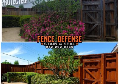 Old Fence Restaining Before and After Pics