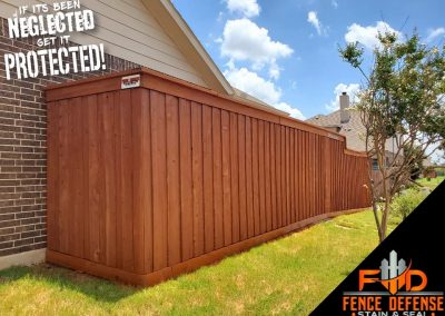 Professional staining for cedar fences