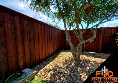 Quality Fence Staining Plano