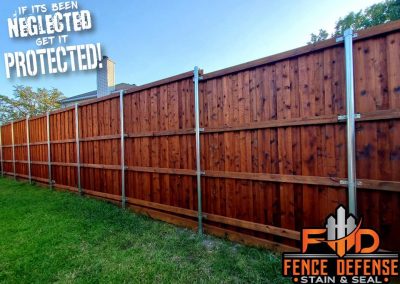 Stained Cedar Fence Allen TX