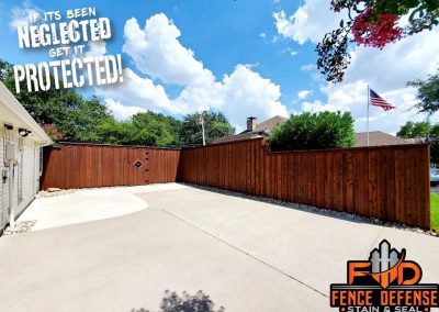 When to stain a new cedar fence