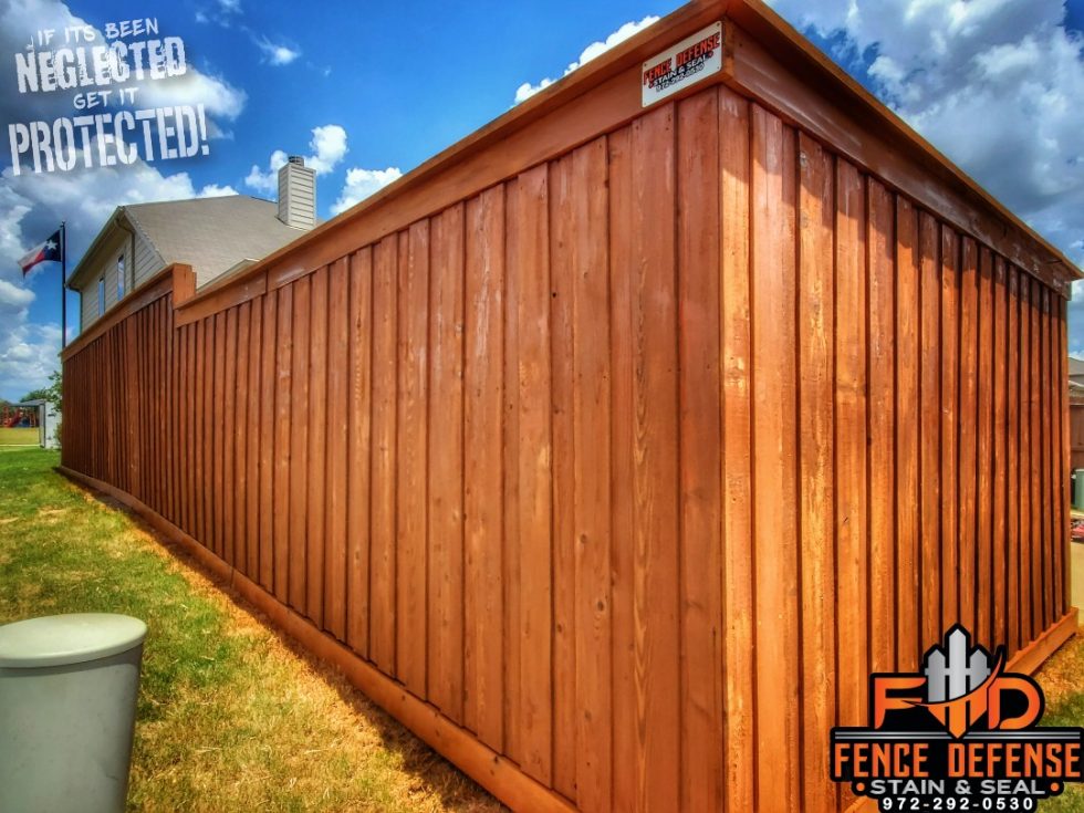 Is Staining A Fence Worth It? Protect Your Fence Best Fence Staining
