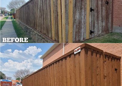 Fence Refurbish Cleaning Staining Before and Pic Plano TX