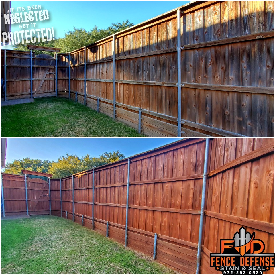 Fence Staining Before and After Pics Plano Texas