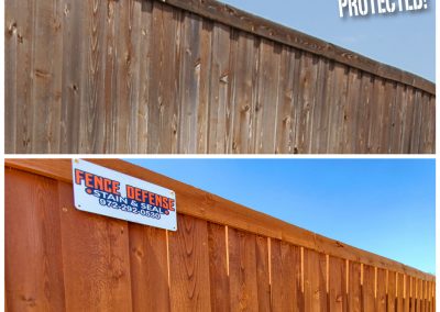 Fence Staining Refurbish Before After Pic Plano TX