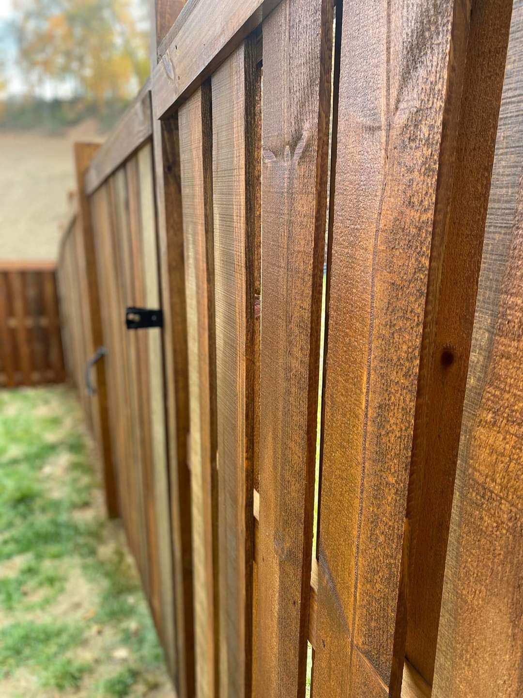 Fence Stain Colors Proper Seal Wood Fence Staining Colors