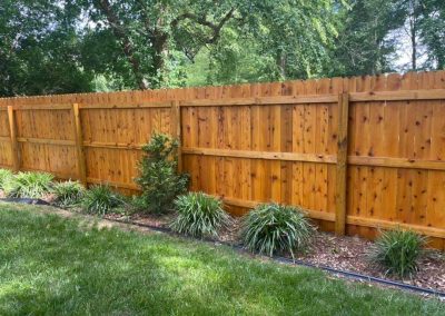 Professional Fence Staining Honey Tone Transparent